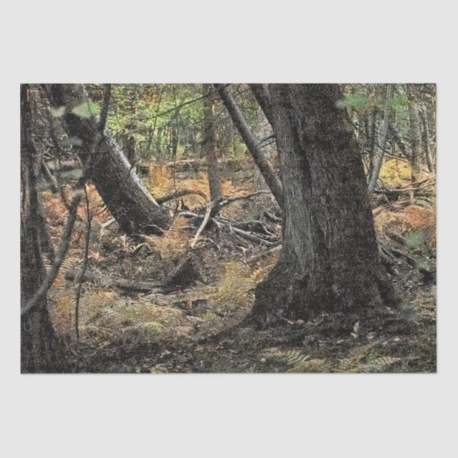 Autumn forest scene            tissue paper (Front)