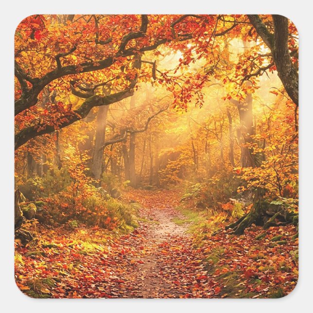 Autumn Forest Square Sticker (Front)