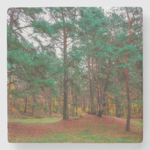 Autumn forest stone coaster