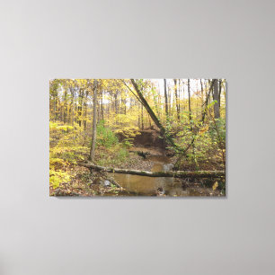 Autumn Forest Stream Canvas Print
