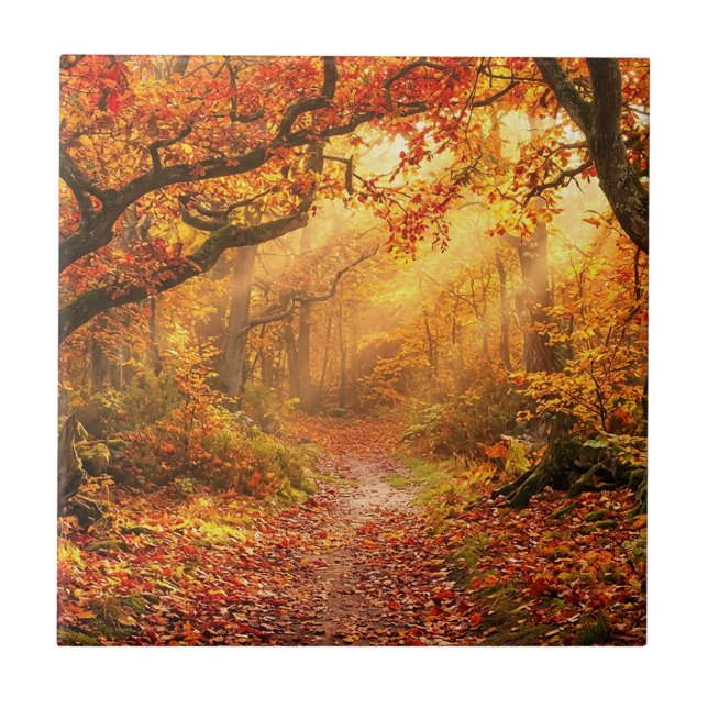 Autumn Forest Tile (Front)