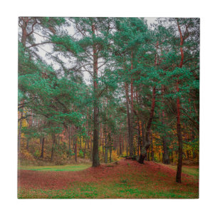 Autumn forest tile