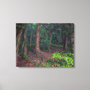 Autumn forest view canvas print