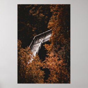 Autumn Forest with Wooden Path Poster