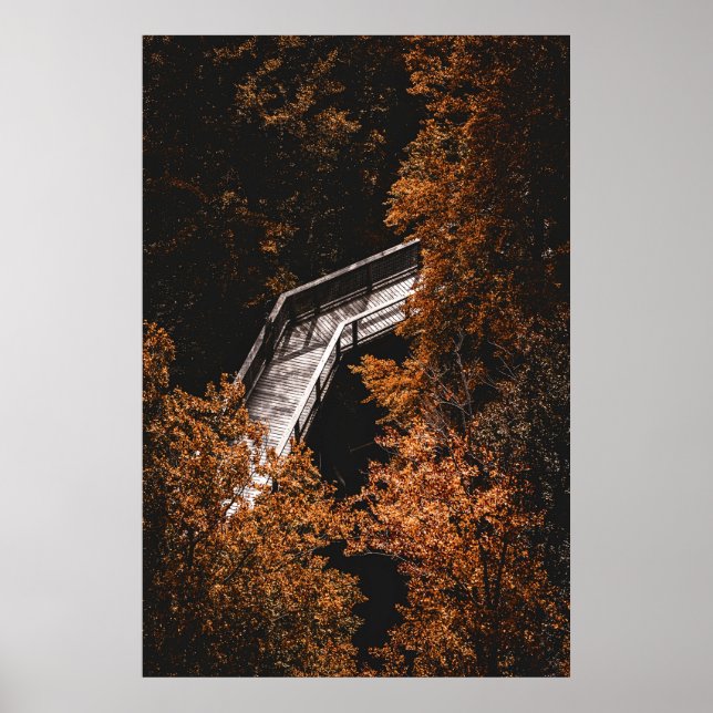 Autumn Forest with Wooden Path Poster (Front)