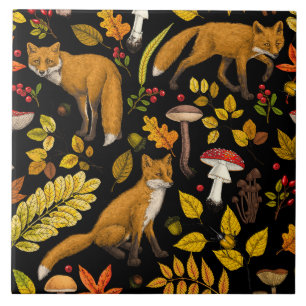 Autumn foxes on black tile