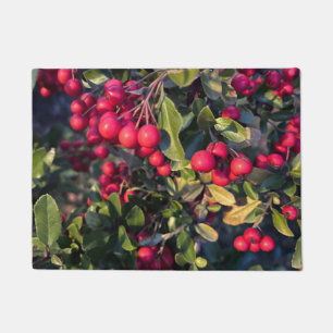 Autumn fruit doormat