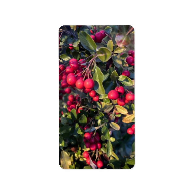 Autumn fruit label (Front)