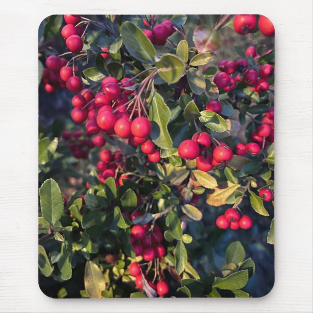 Autumn fruit mouse pad (Front)