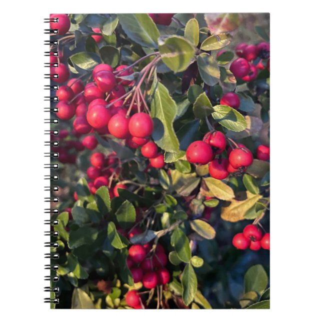 Autumn fruit notebook (Front)