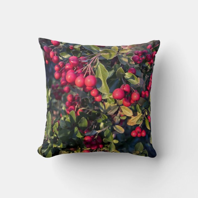 Autumn fruit throw pillow (Front)