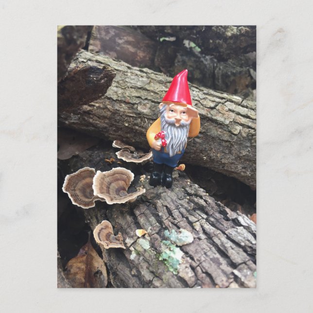 Autumn Gnome Postcard (Front)