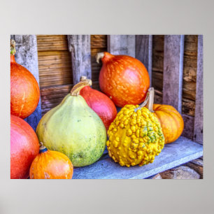 Autumn Gourds Poster