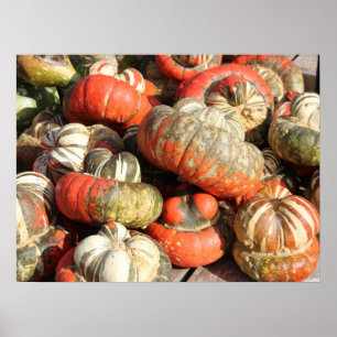 Autumn Gourds Poster
