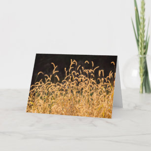 Autumn Grasses Card