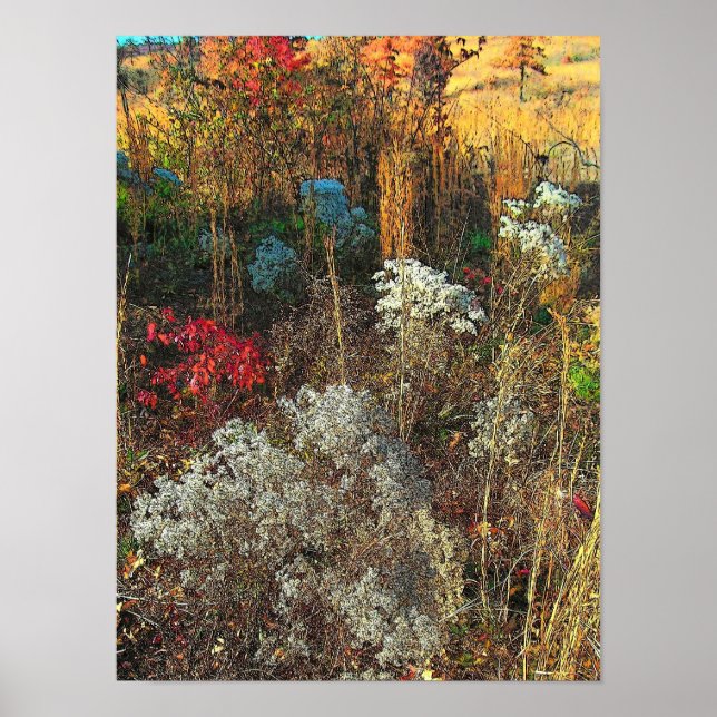 Autumn Grasses Poster (Front)