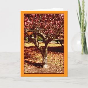 Autumn Greetings Card