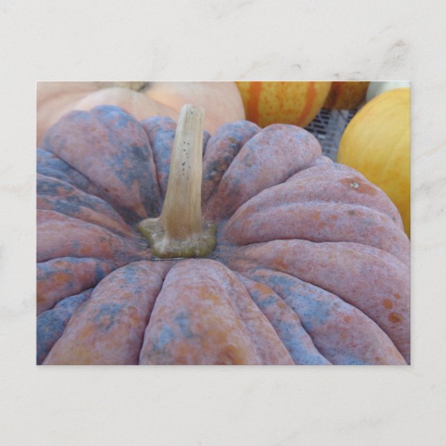Autumn Greetings! Postcard (Front)