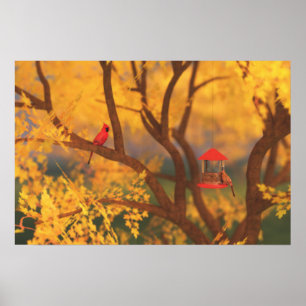 Autumn Guardian Print