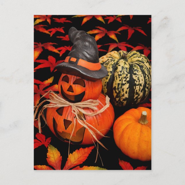 Autumn Halloween Pumpkins and Fall Leaves Postcard (Front)