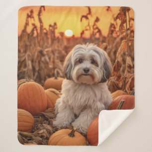 Autumn Havanese Sherpa Blanket