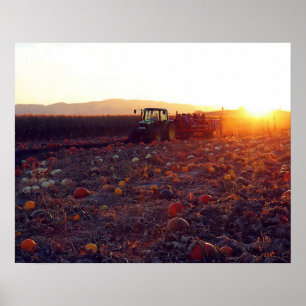 Autumn Hay Ride  Poster