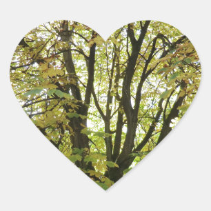 Autumn Horse Chestnut Tree Heart Sticker