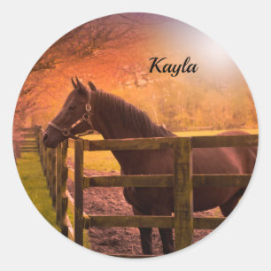 Autumn Horse Classic Round Sticker