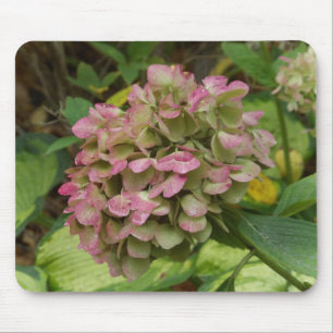 Autumn Hydrangea Bloom with Golden Hosta Leaves Mouse Pad