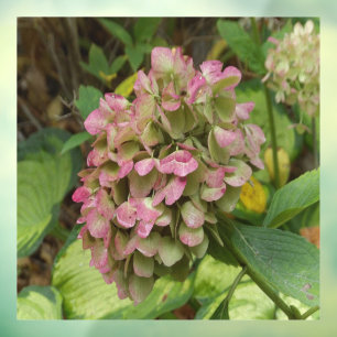 Autumn Hydrangea Bloom with Golden Hosta Leaves Window Cling