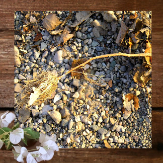 Autumn Impression Glass Coaster
