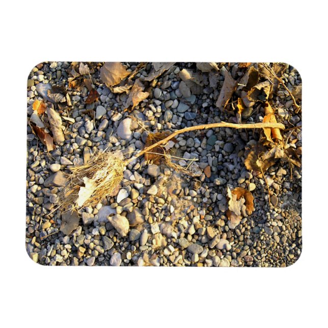 Autumn Impression Magnet (Horizontal)