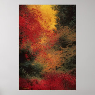 Autumn Impression Poster
