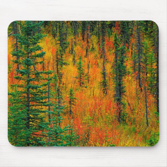 Autumn in a meadow mouse pad (Front)