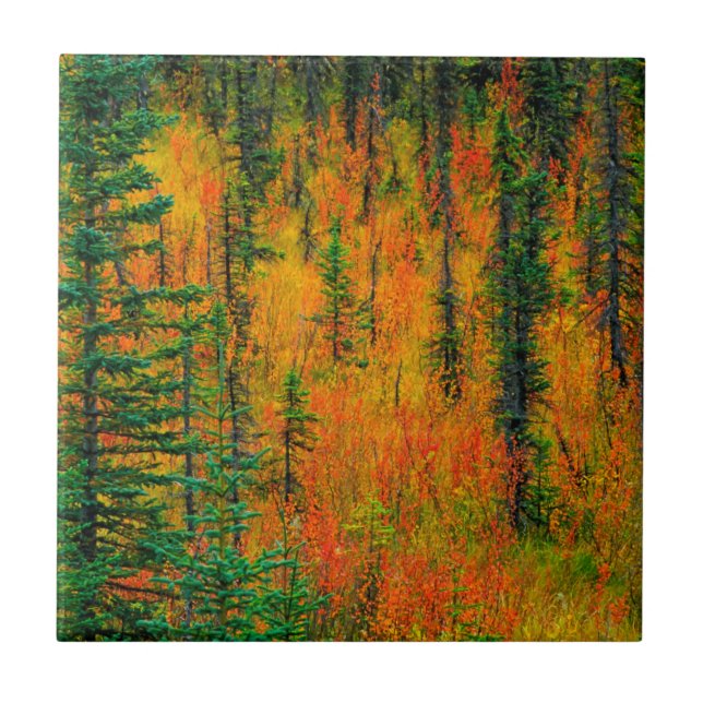 Autumn in a meadow tile (Front)