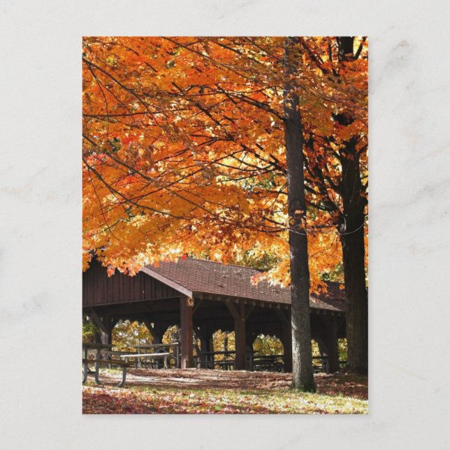 Autumn In A Park Postcard (Front)