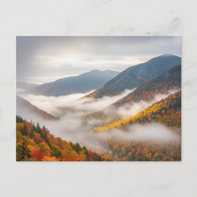 Autumn in Adirondack Mountains Postcard (Front)