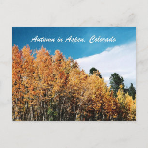 Autumn in Aspen Postcard