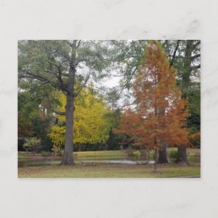 Autumn in Birmingham, Alabama Postcard