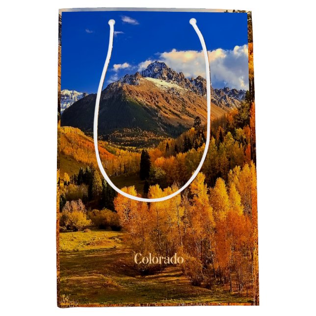 Autumn in Colorado Medium Gift Bag (Front)
