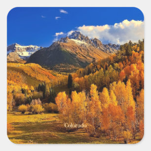 Autumn in Colorado Square Sticker