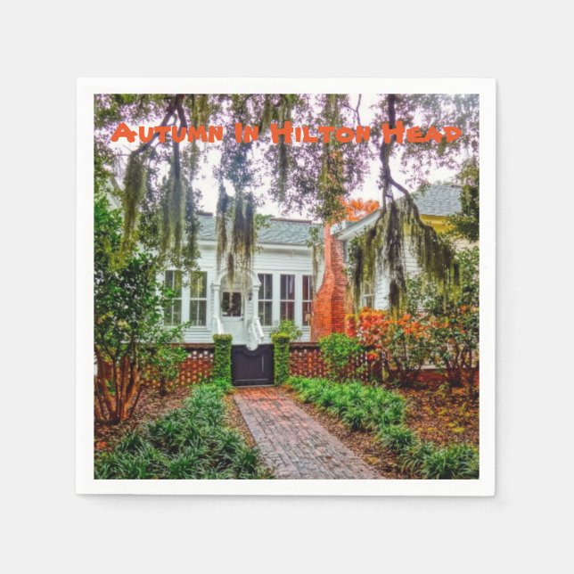 Autumn In Hilton Head Coastal Discovery Museum HHI Napkin (Front)