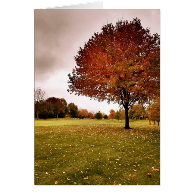Autumn in Iowa (Front)