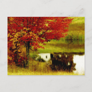 Autumn in Kentucky Postcard