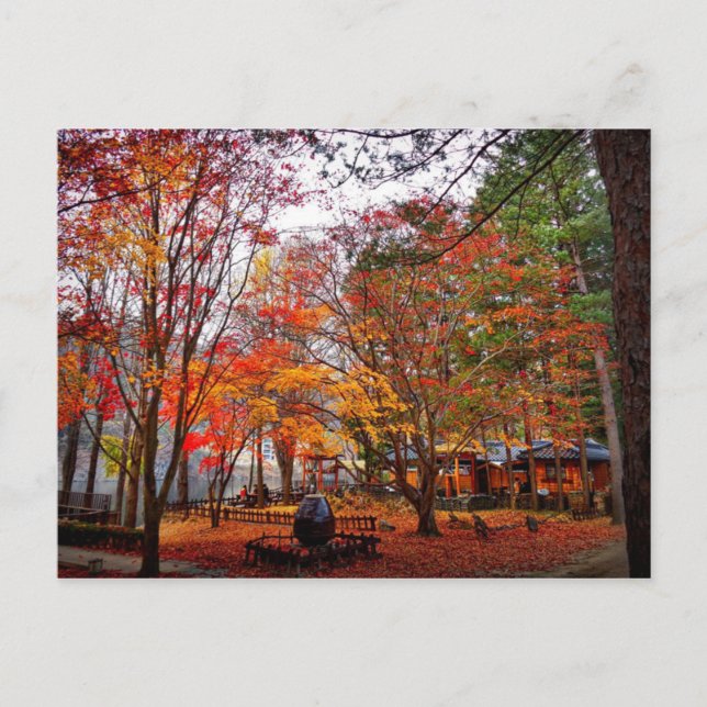 Autumn in Korea Postcard (Front)