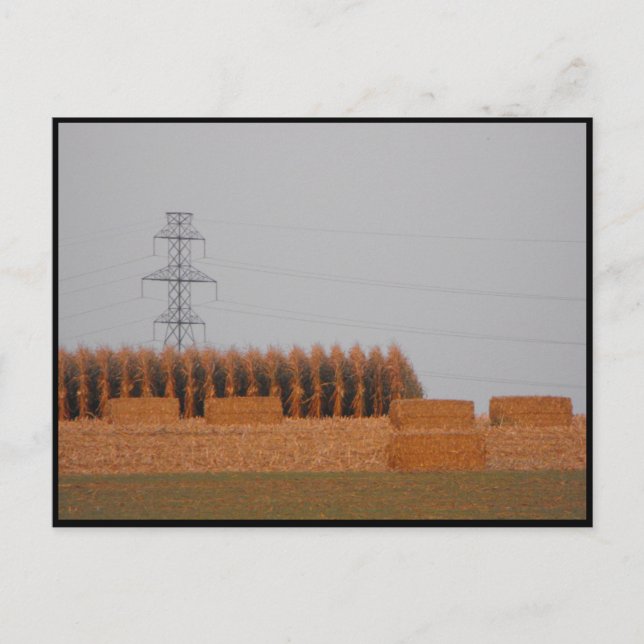 ~ Autumn in Lancaster County ~ 30 Postcard (Front)