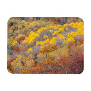 Autumn in Michigan Magnet