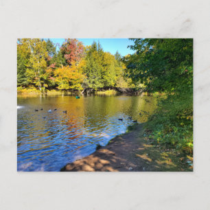 Autumn in Michigan Postcard