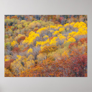 Autumn in Michigan Poster