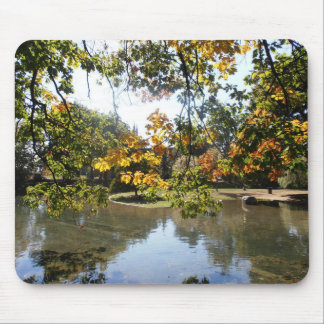 Autumn in Montreal Mouse Pad